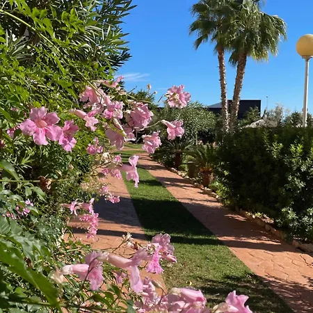 Casa Palmera - El Bosque - Apartamento *